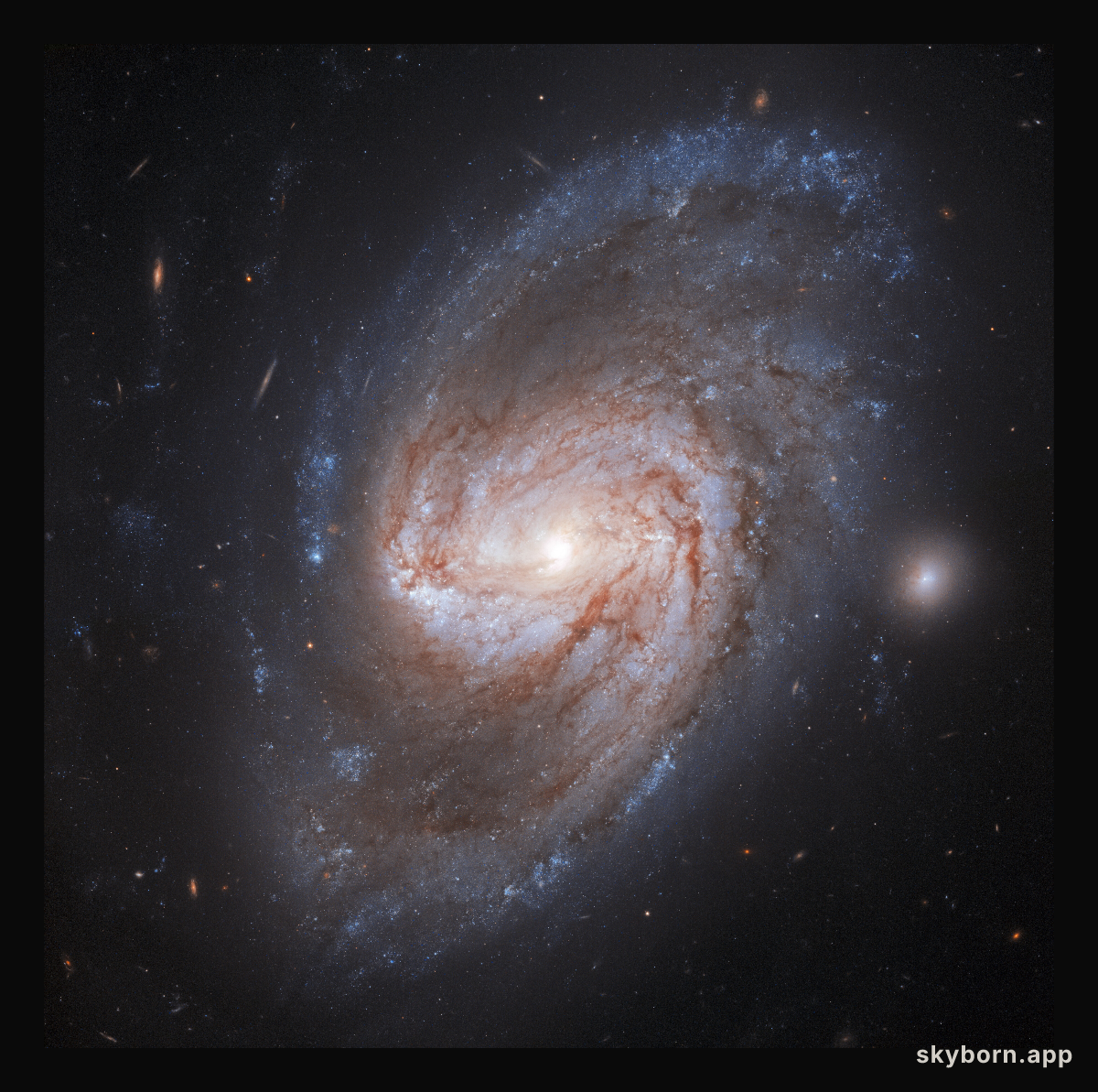 Galaxy Galaxy, Burning Bright!