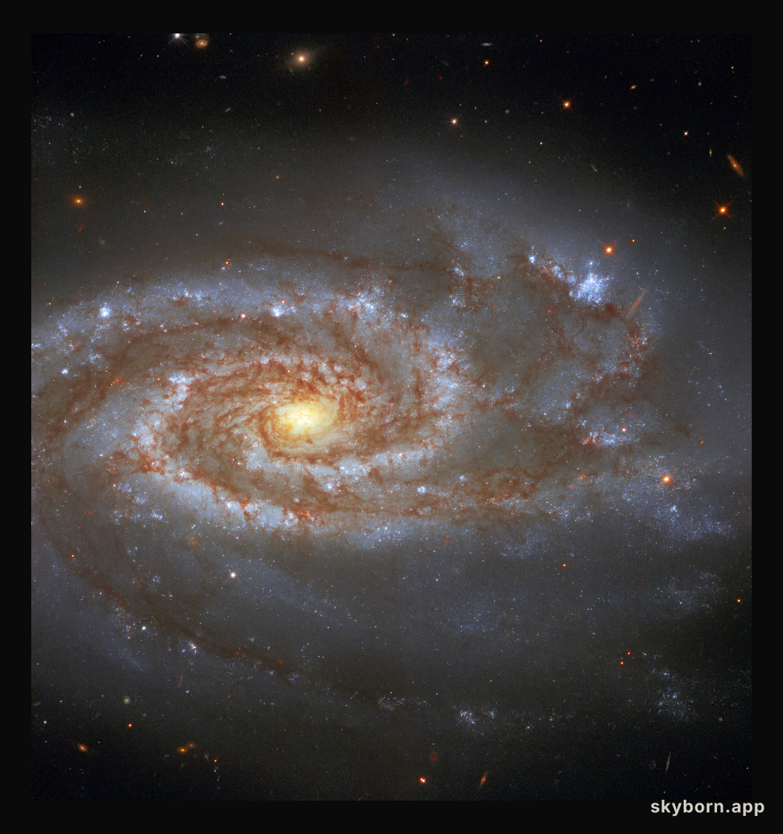 Two Supernovae, One Galaxy