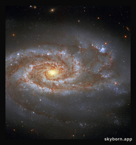 Two Supernovae, One Galaxy