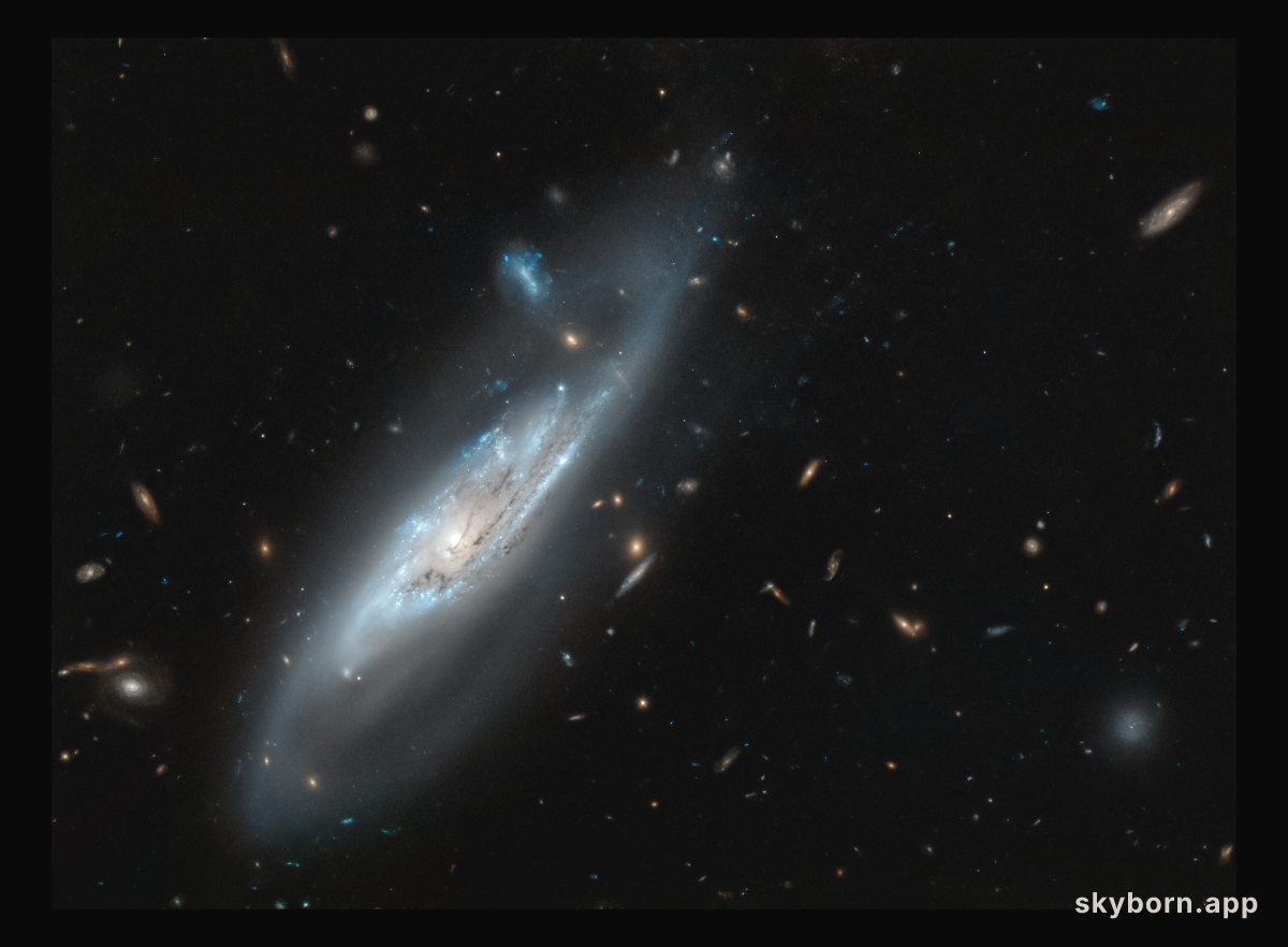 A Discovery of Ghostly Arms