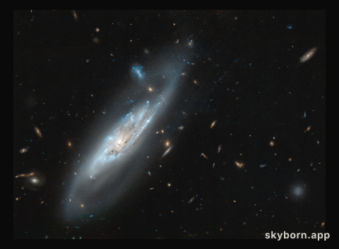 A Discovery of Ghostly Arms