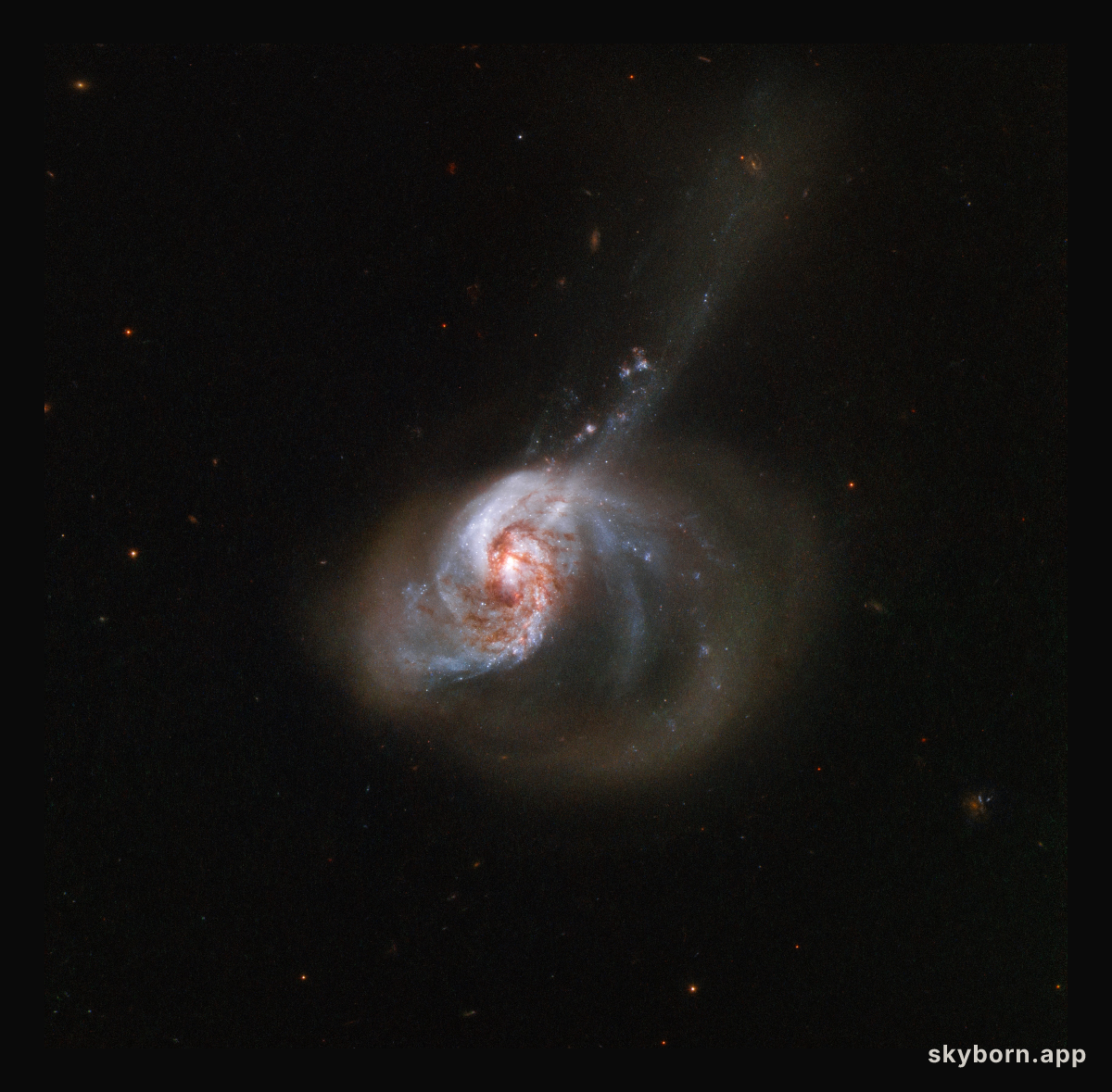 Ring of Stellar Wildfire