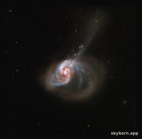 Ring of Stellar Wildfire
