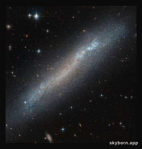 A Tilted Wonder