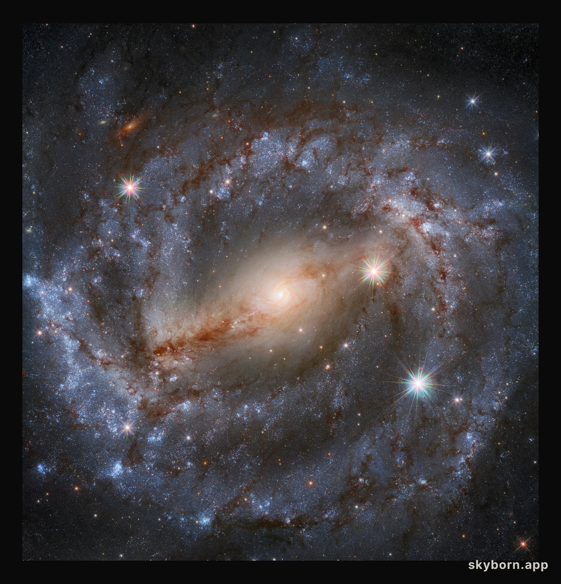 Spirals Are In This Season