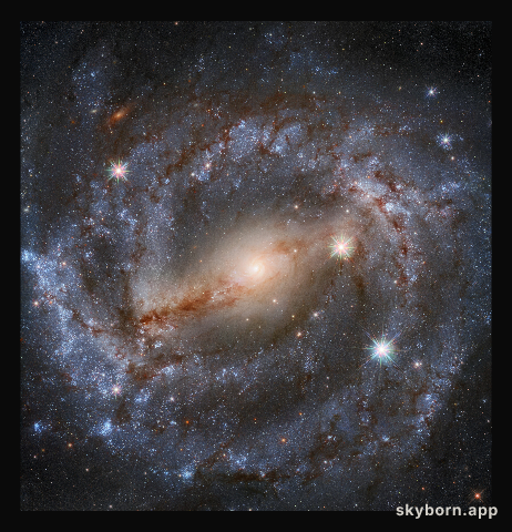 Spirals Are In This Season