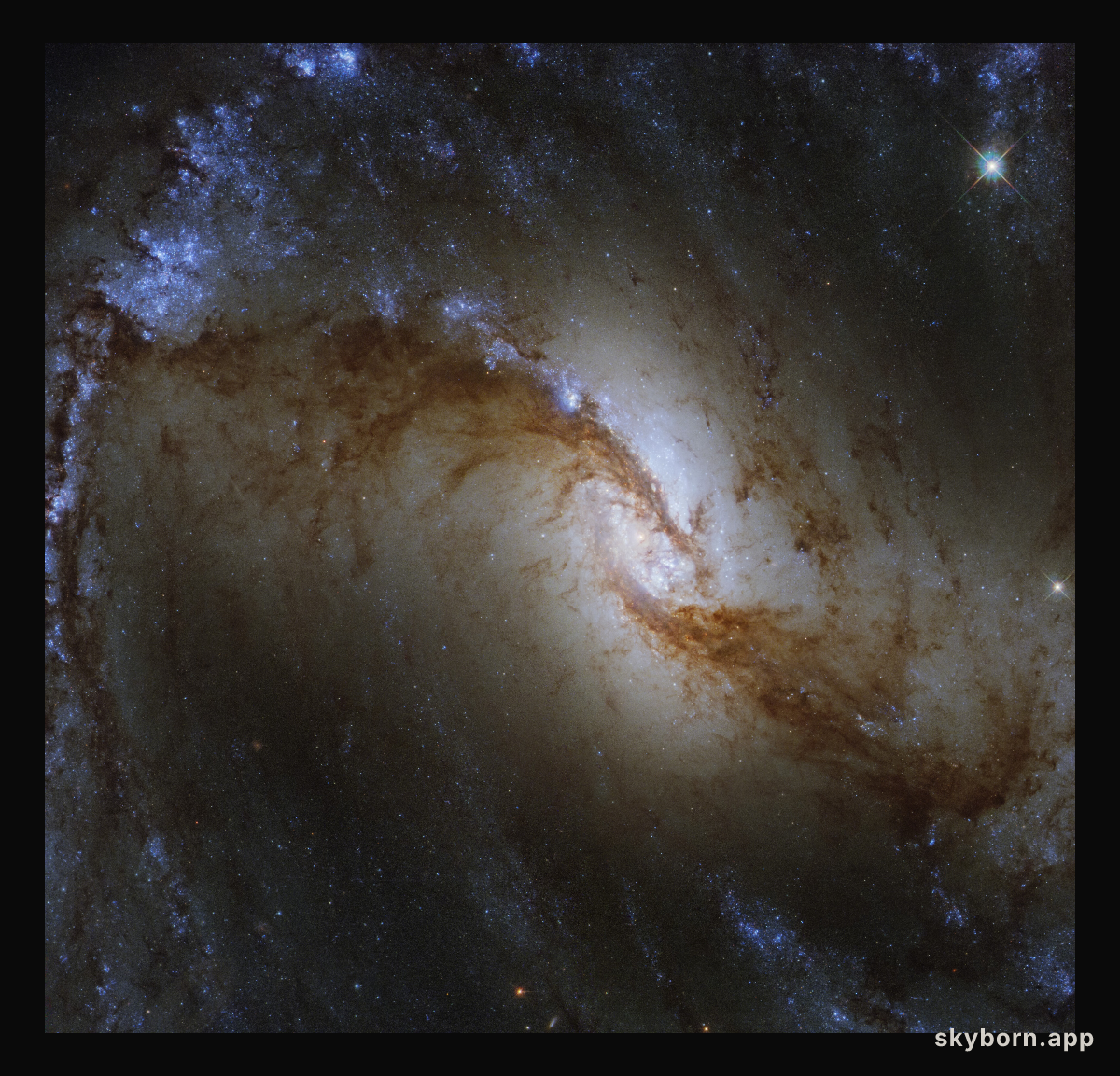 Survey of the Stars