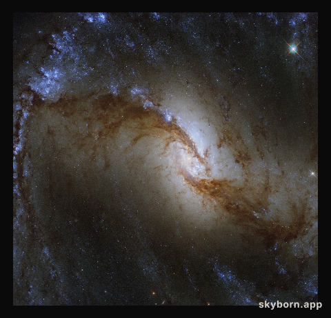 Survey of the Stars