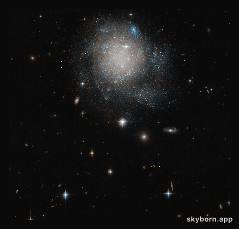 Cosmic Cinnamon Bun