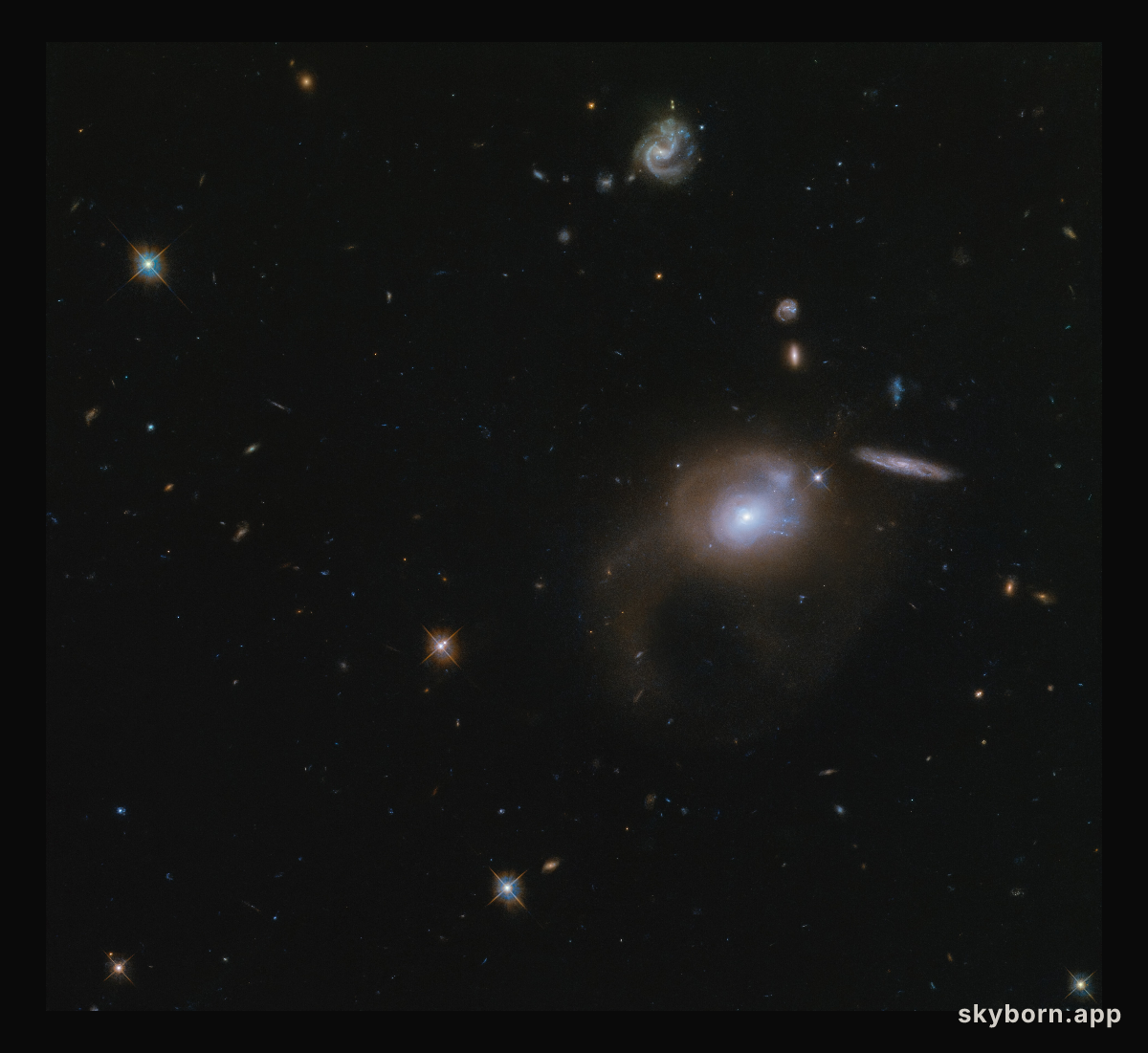 Cosmic Wonderland