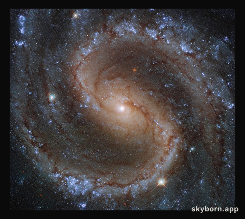 Colours of the Lost Galaxy
