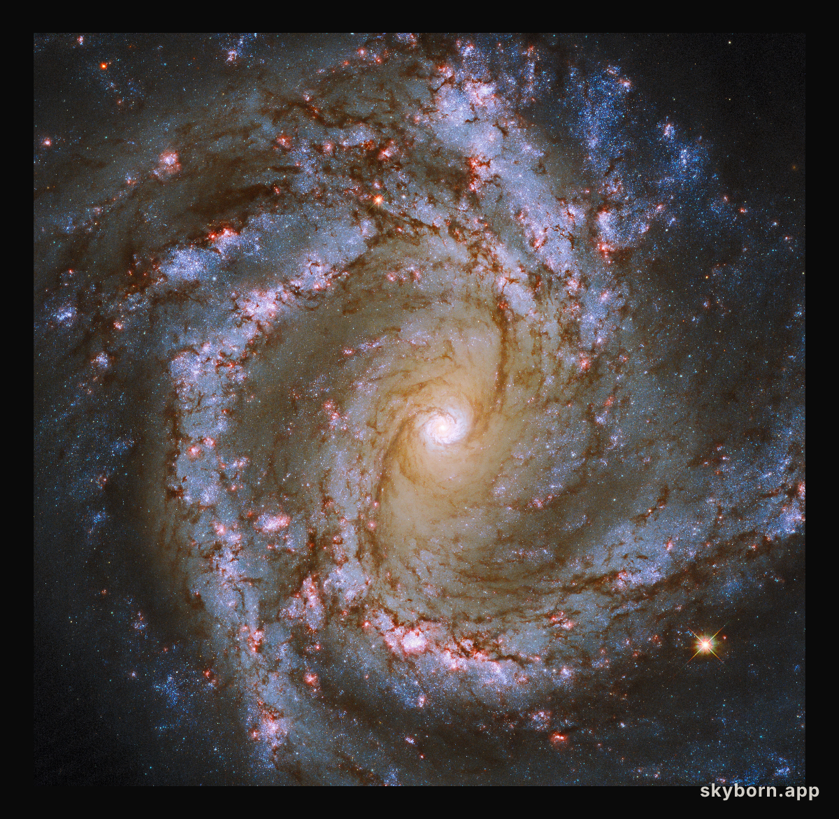 Spiral Snapshot