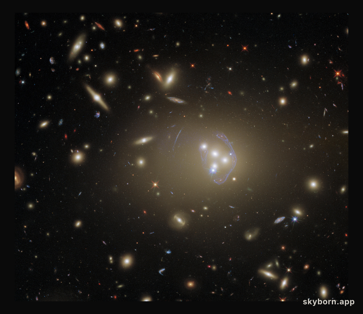 Our Giant Universe