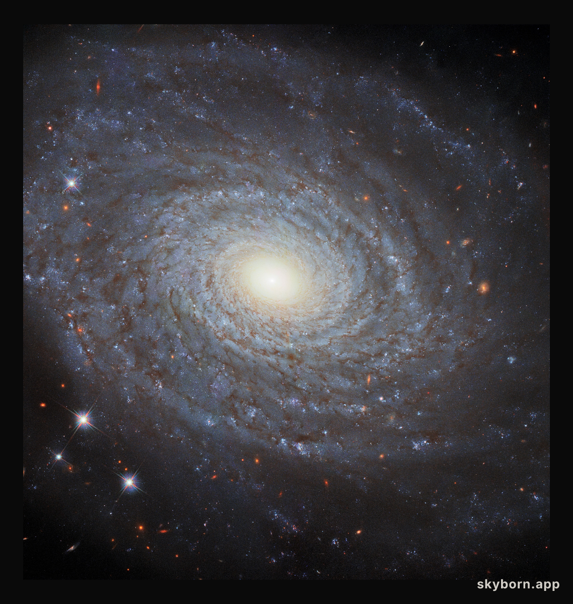 The Eponymous NGC 691