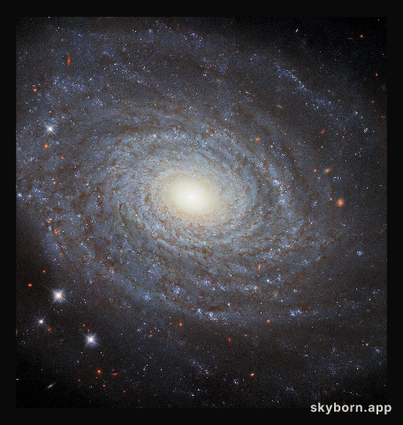 The Eponymous NGC 691