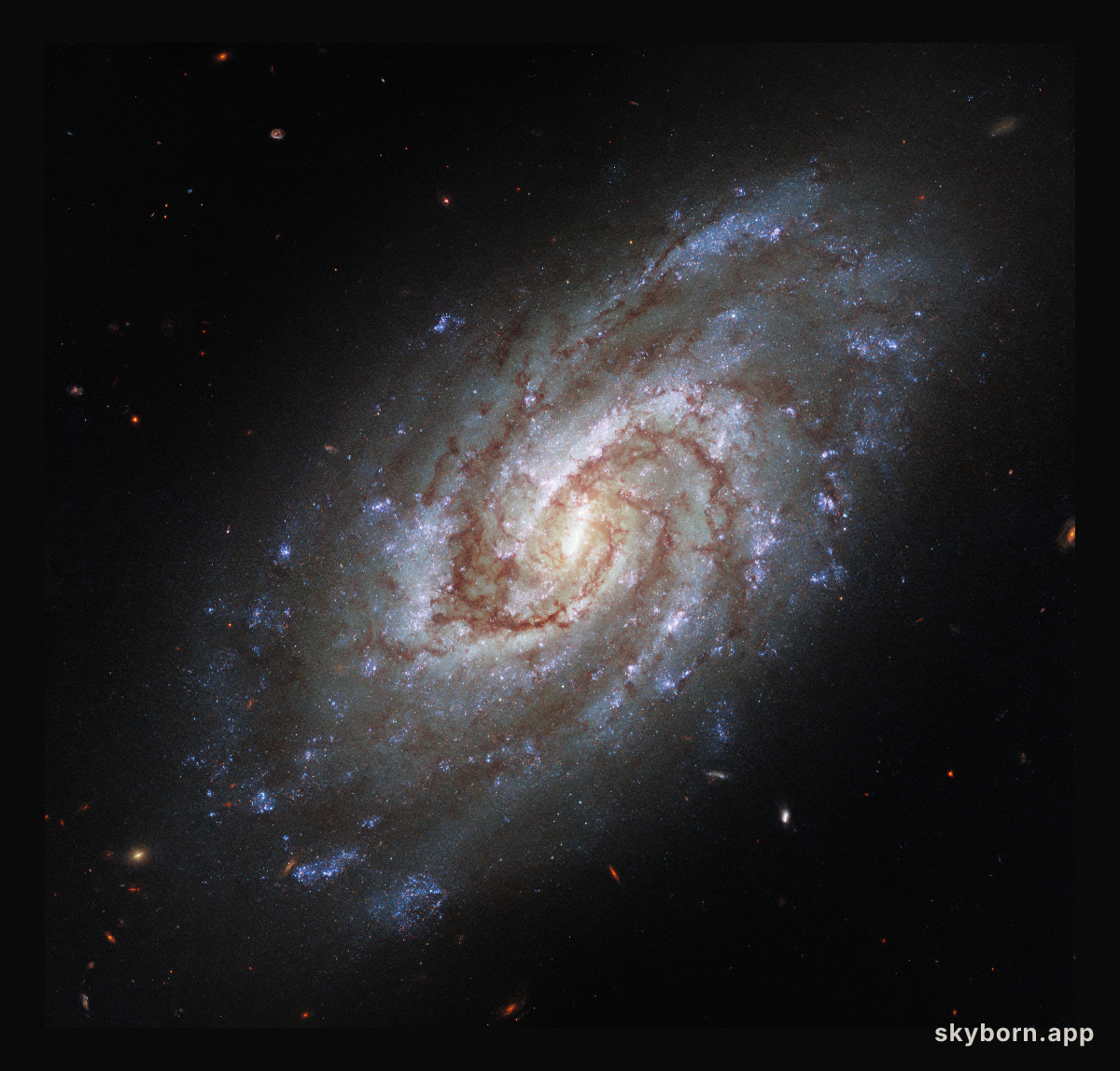 Portrait of a Swirling Galaxy