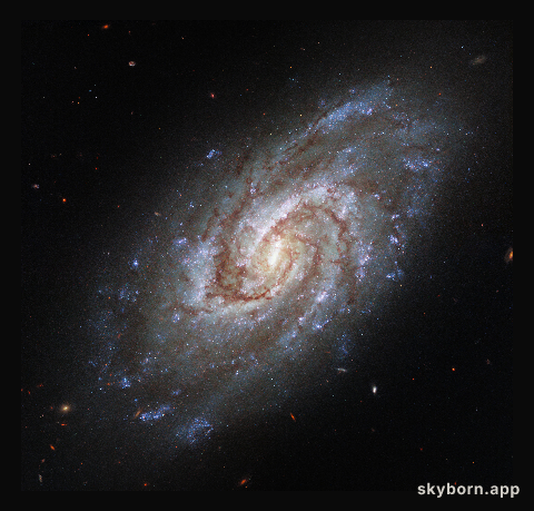 Portrait of a Swirling Galaxy