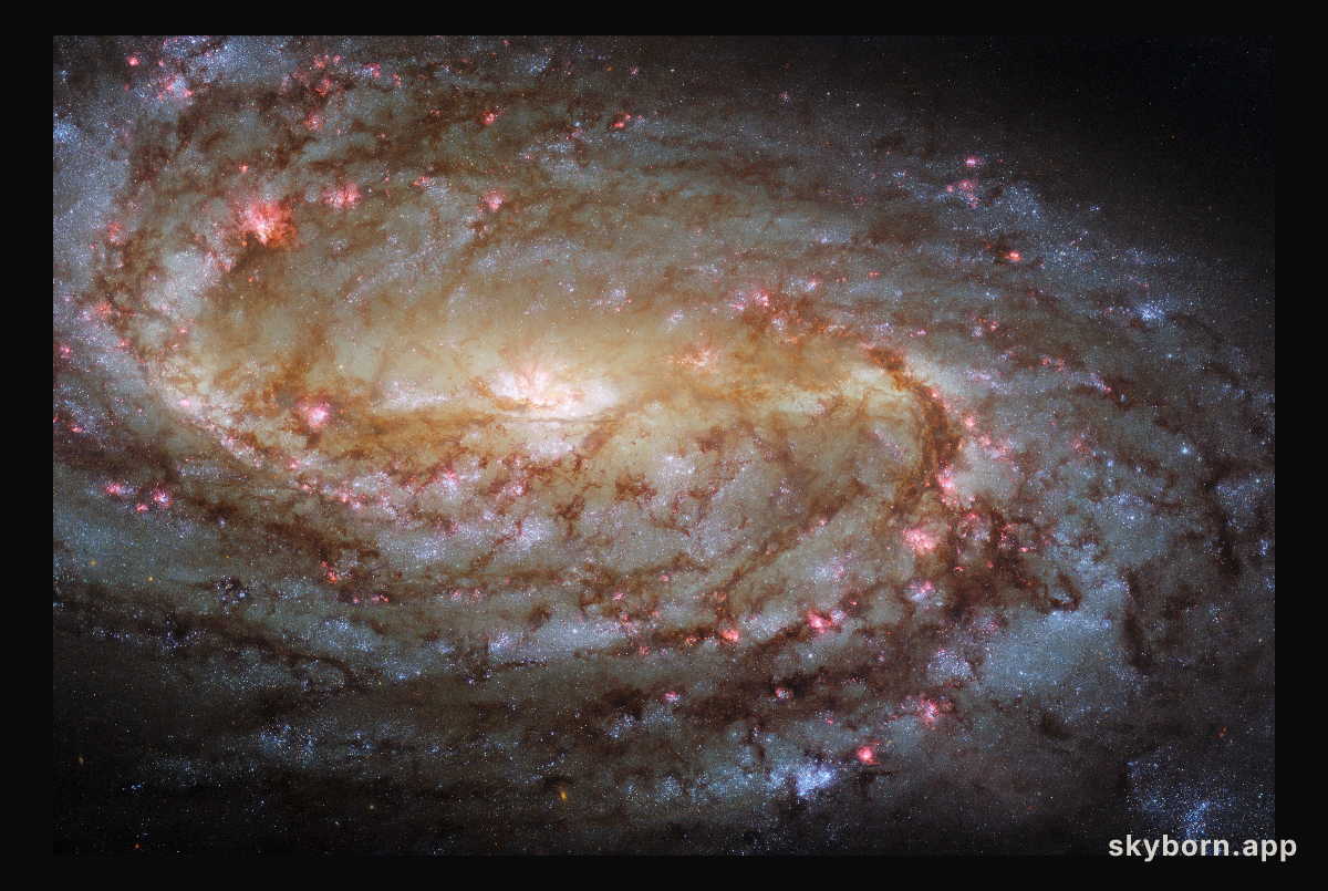 Hubble Experiences Déjà vu