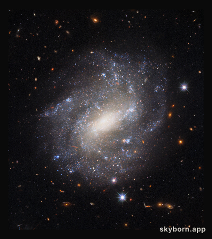 Lonely Spiral