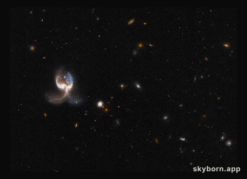Hubble Inspects a Set of Galactic Wings