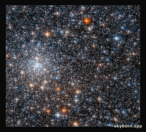 Hubble Spies a Glittering Gathering of Stars
