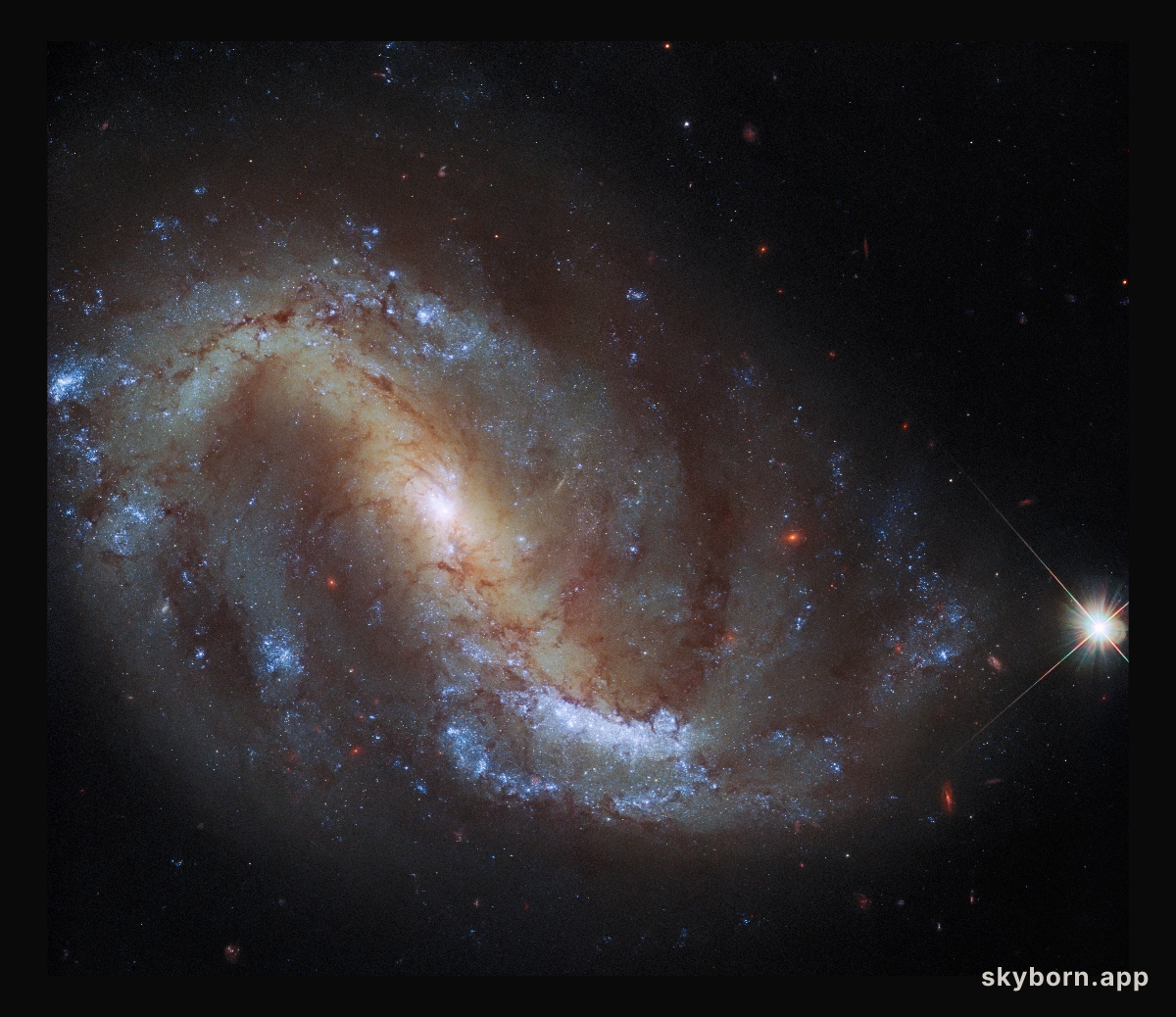 Hubble Goes Galactic Birdwatching