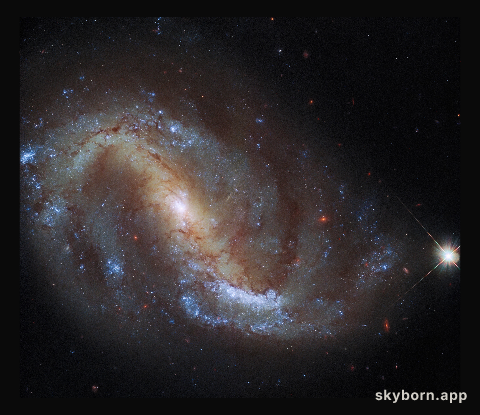 Hubble Goes Galactic Birdwatching