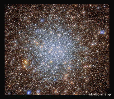Delving into an Astronomical Treasure Trove