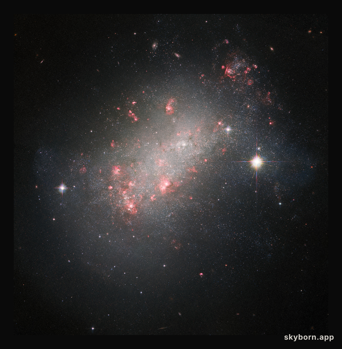 A Marvel of Galactic Morphology