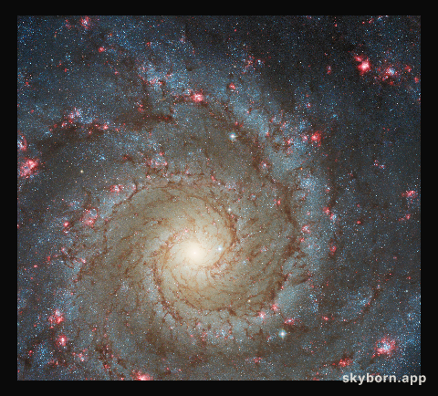 Hubble Gazes into M74