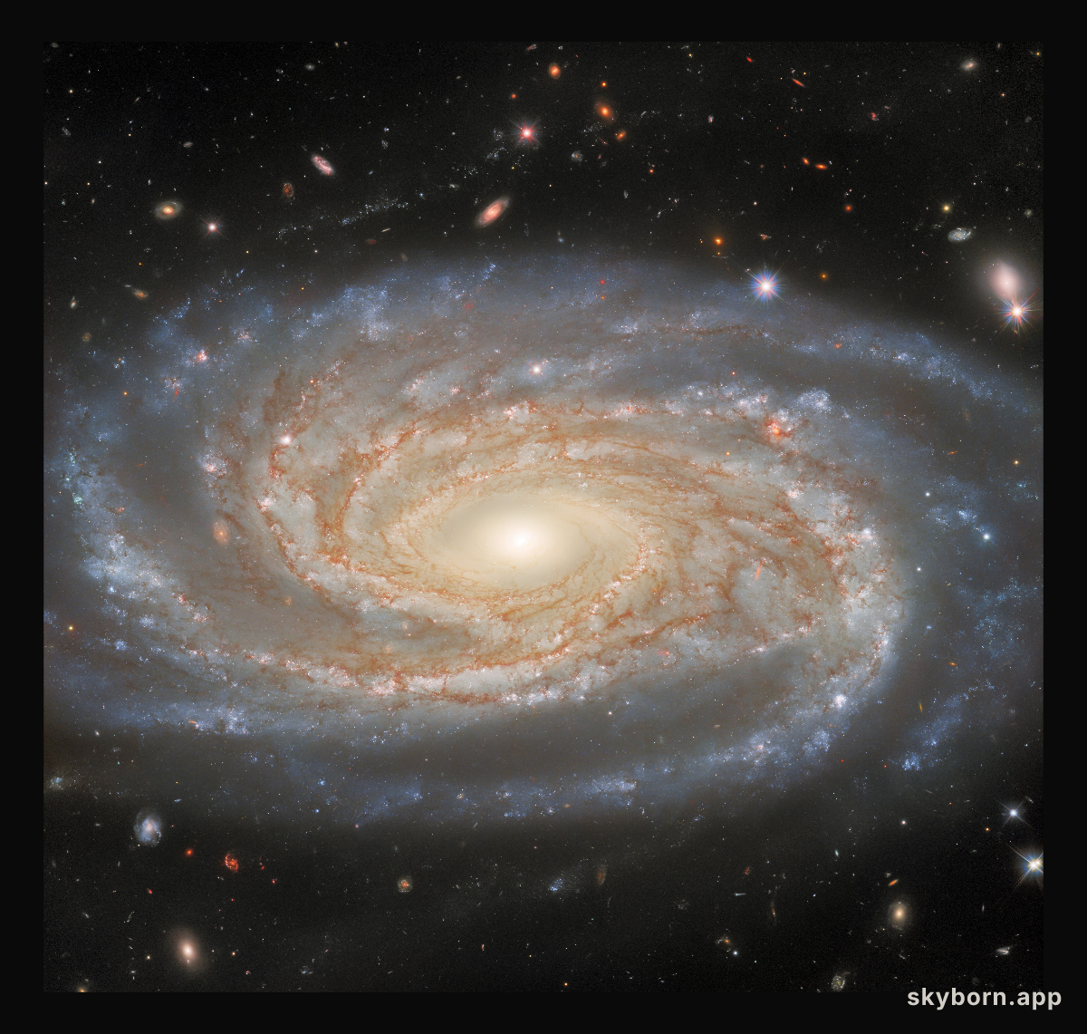 Investigating A Made-to-Measure Galaxy