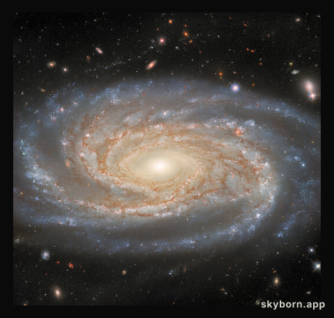 Investigating A Made-to-Measure Galaxy