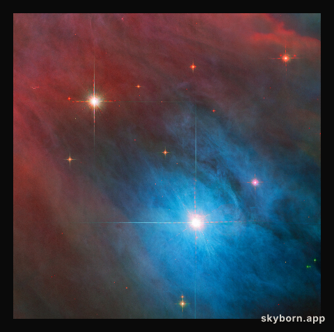 Tempestuous Young Stars in Orion