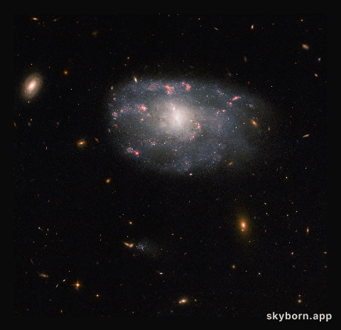 Hubble spies a meandering spiral (wide field)
