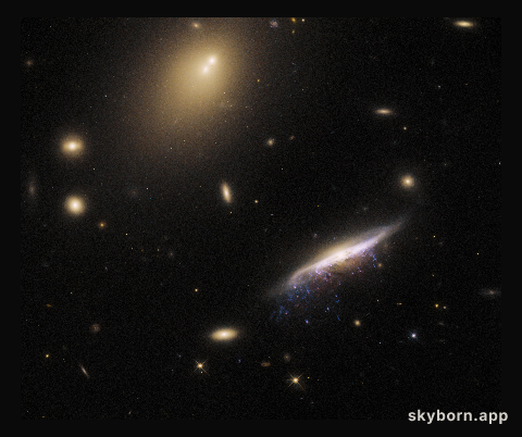 Portrait of a galactic jellyfish