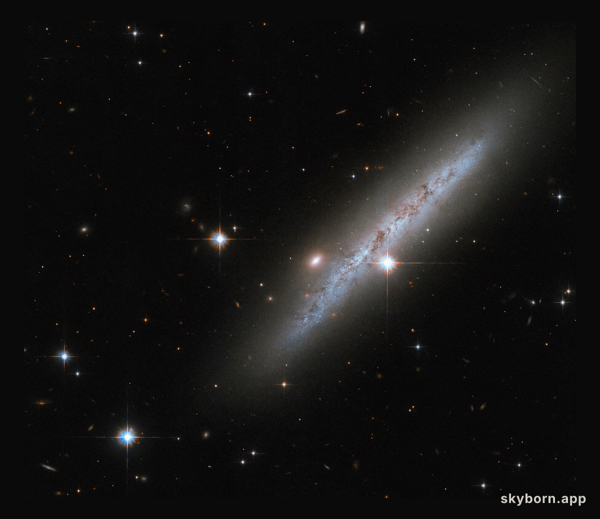 Aftermath of a cosmic explosion