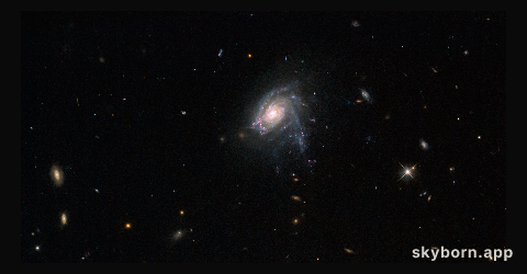 Ghostly galactic jellyfish