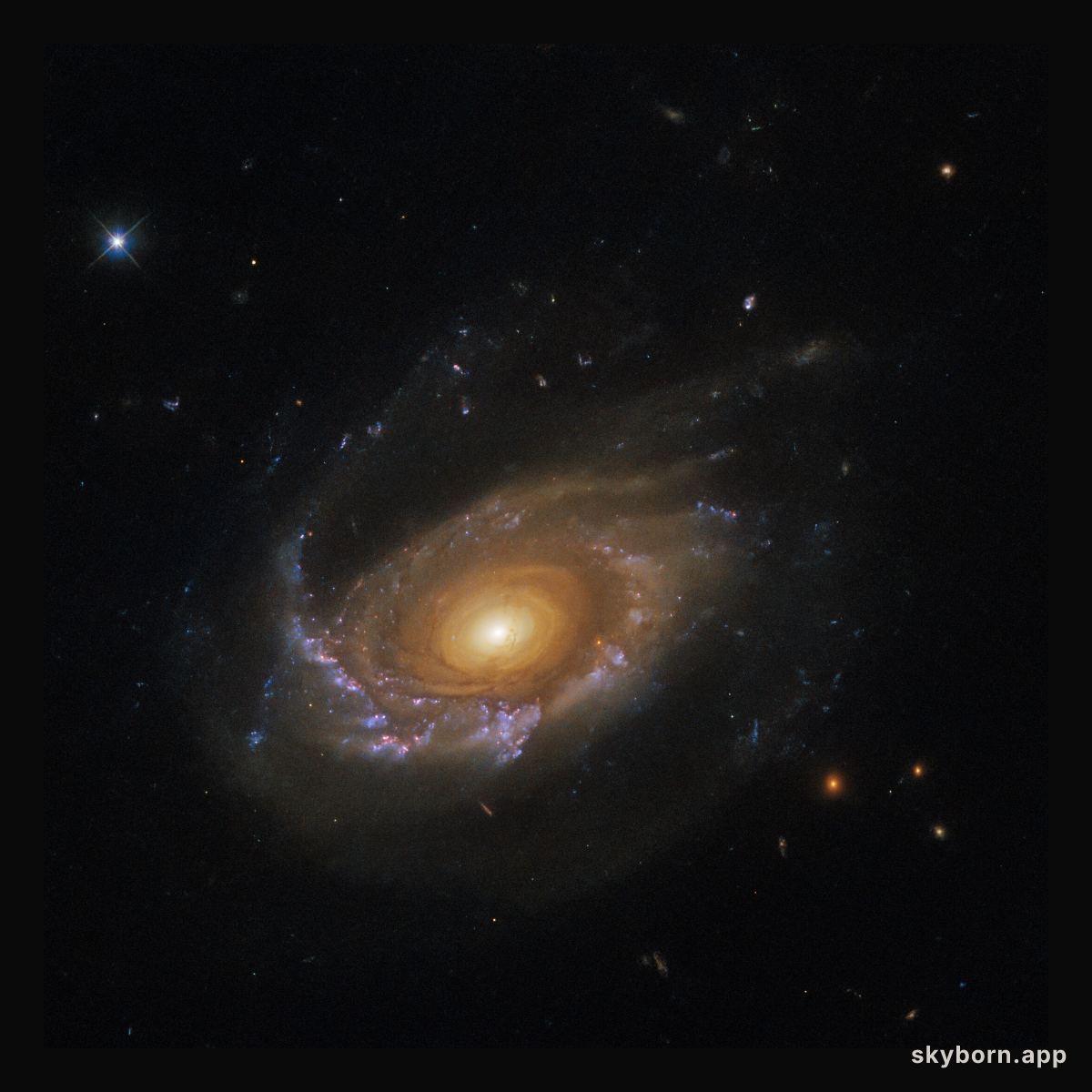 A jellyfish galaxy adrift