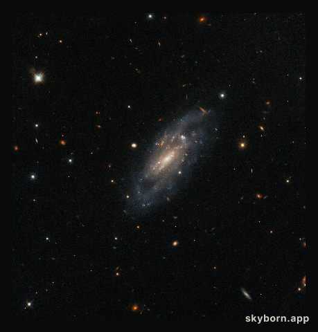 Serene Supernova Aftermath