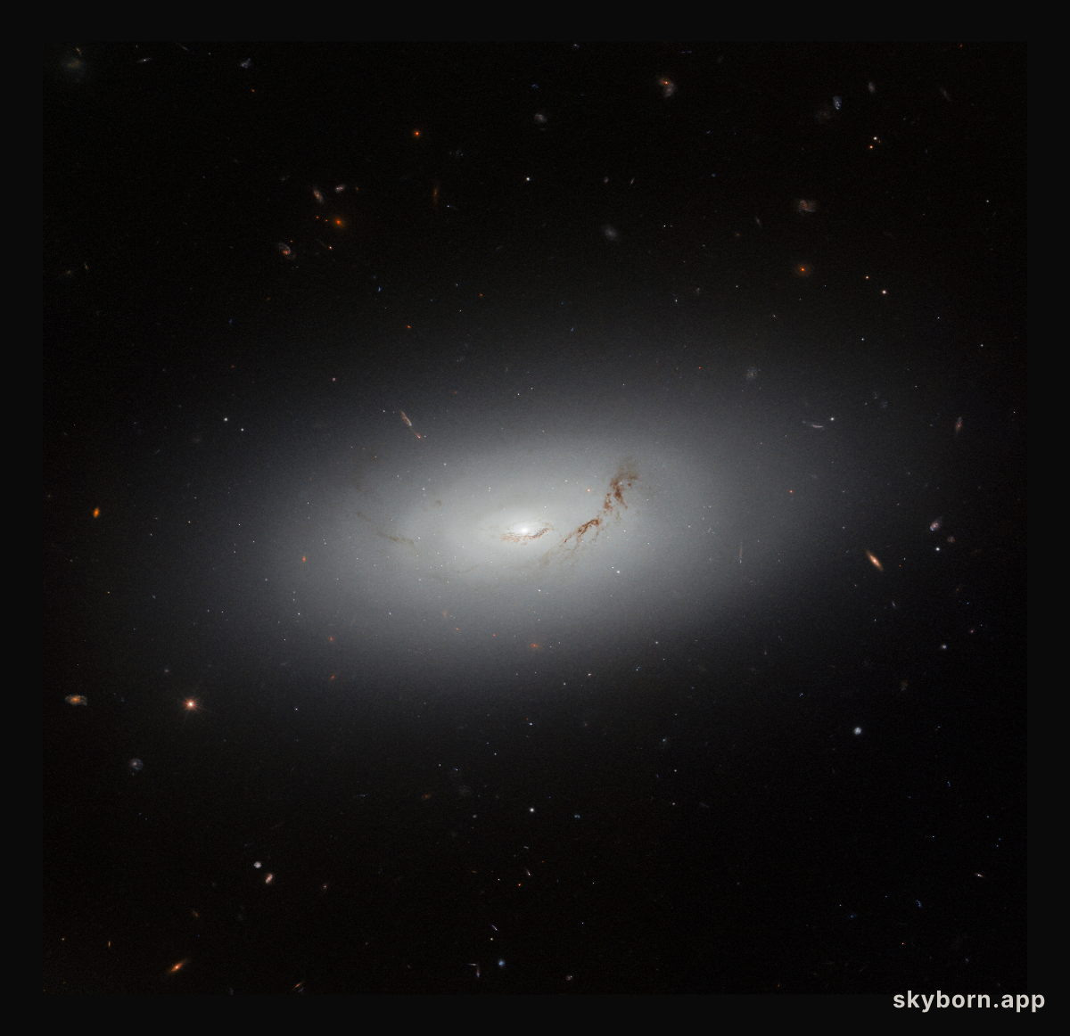 Measure of a great galactic disc