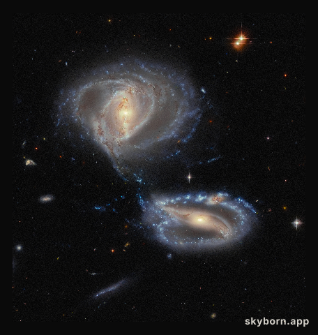 A dynamic duo … or trio?