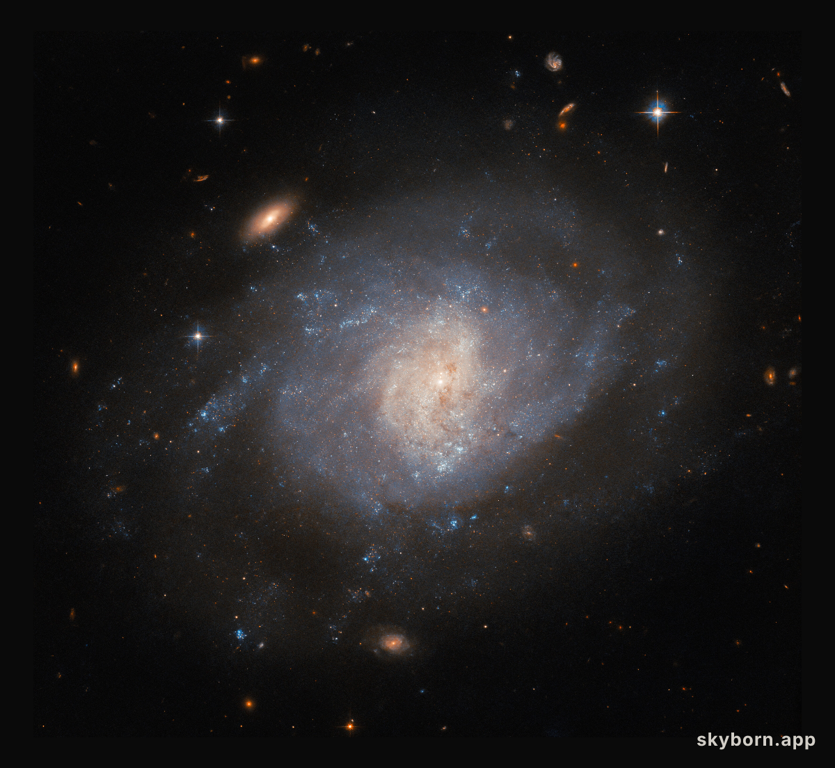 When amateur astronomers point the way