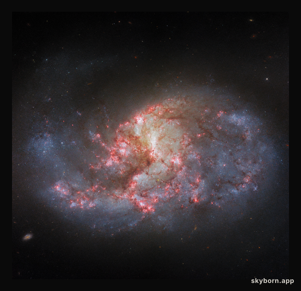 Same galaxy, different filters