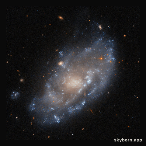 On the hunt for X-rays