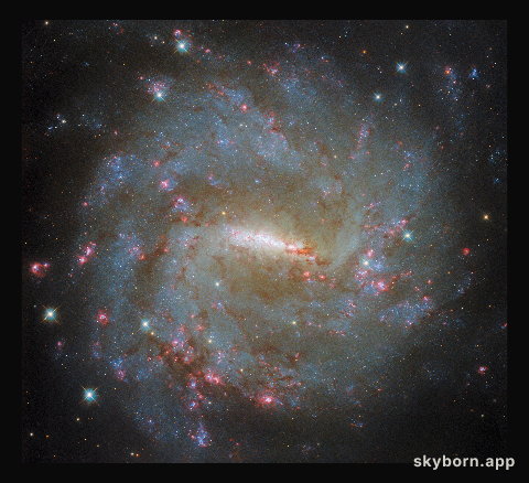 A broad and narrow galactic view