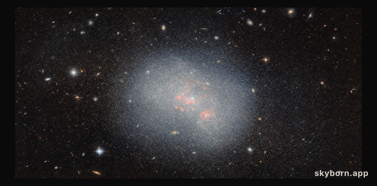 Assembling the largest galaxies