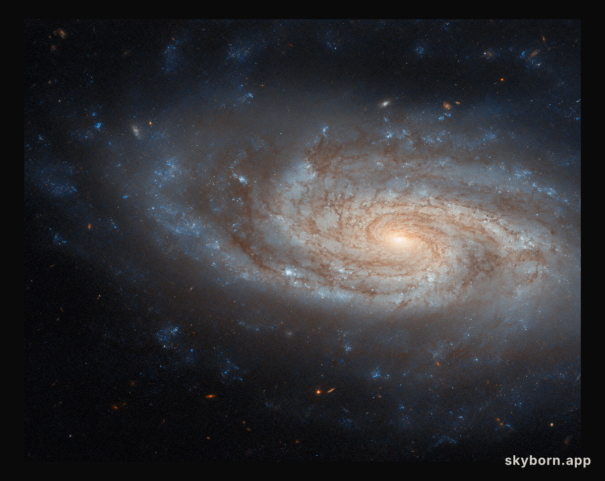 An island universe
