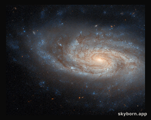 An island universe
