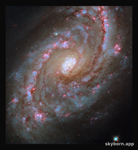 Starbursts on grand scale
