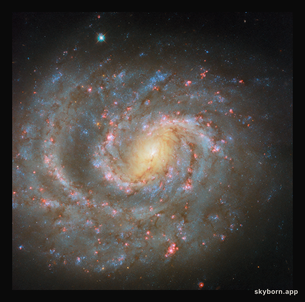 Signs of the stellar lifecycle